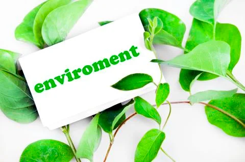 Enviroment message on leaves Photos