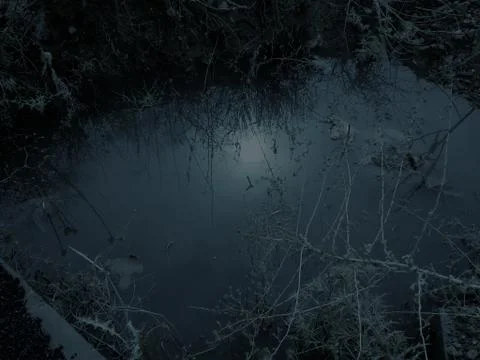 Enviroment Stock Photos