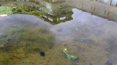Enviromental pollution - drinks can in stream Stock Footage 45603688