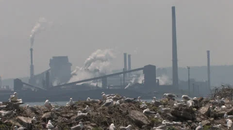 Environment and Pollution Stockbeeldmateriaal 25632475