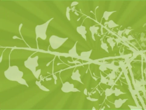 Environment Background 20 Sec Loop-Web 動画素材 703052