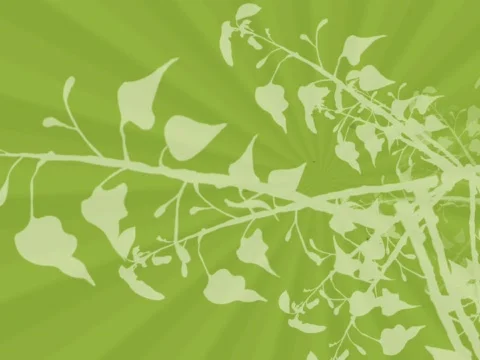 Environment Background 20 Sec Loop-D1 動画素材 703115