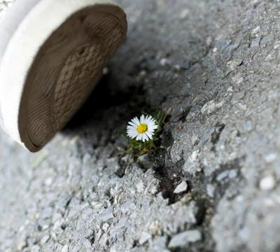 Environment Concept Stock Photos