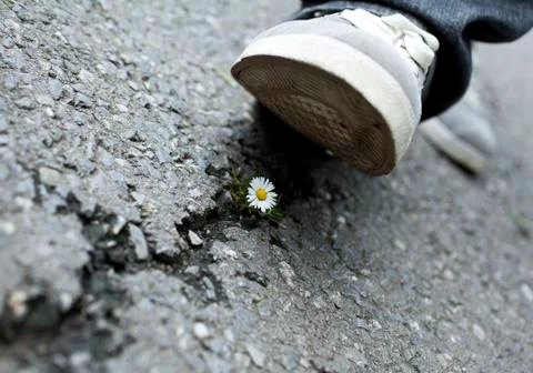 Environment Concept Foto stock