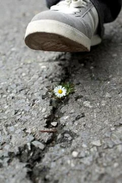 Environment Concept Stock Photos