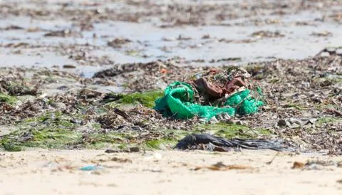 Environment concept, trash pollution on the beach Stock Photos