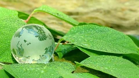 Environment conservation  concepts Stock Footage 8607389