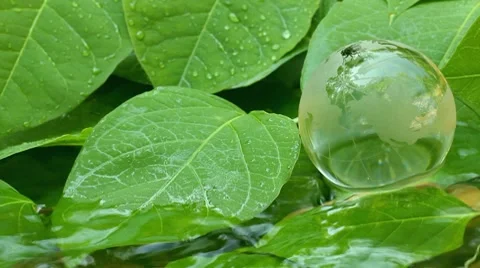 Environment conservation  concepts Stock Footage 8607404