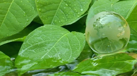 Environment conservation  concepts Stock Footage 8678770