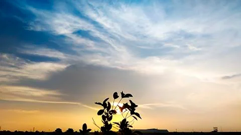 Environment of the day in the evening. Stock Photos