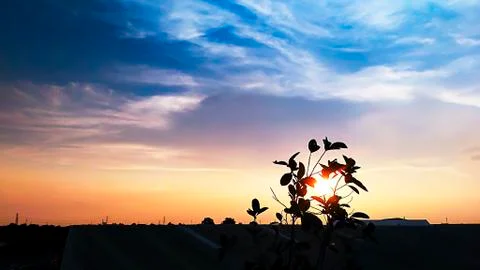 Environment of the day in the evening. Stock Photos