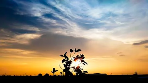 Environment of the day in the evening. Stock Photos