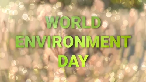 Environment day Stock Footage 194333440