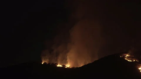 Environment disaster - fire in the woods by night Stock Footage 148785919