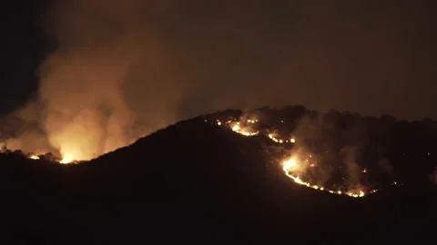 Environment disaster - fire in the woods by night Stock Footage 148785950