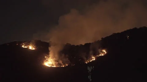 Environment disaster - fire in the woods by night Stock Footage 148785964