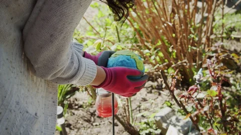Environment Earth Day In the hands of trees growing seed Stock Footage 128867079