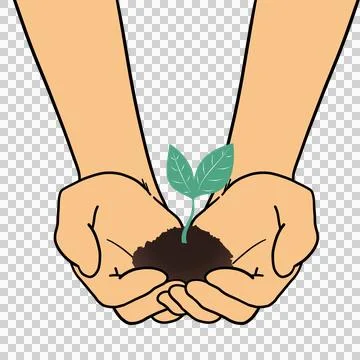 Environment Earth Day In the hands of trees growing seedlings. Ilustração Stock