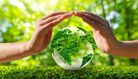 Environment Earth Day In the hands of trees growing seedlings. Bokeh green .. Stock Photos