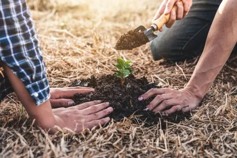Environment earth day, Hands of two man helping were planting the seedlings a Stock Photos