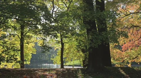 Environment Stock Footage 1000688