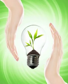 Environment friendly bulb Stock Illustration