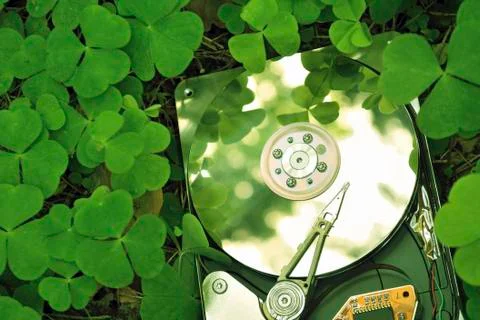 Environment friendly technology concept; hard drive in forest grass Foto stock