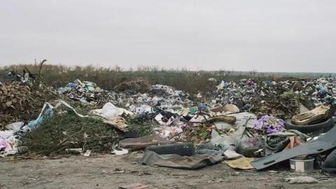 The Environment, Garbage Dump In Ukraine Stock Footage 98591235