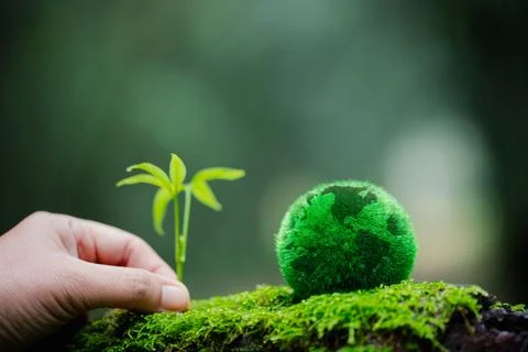Environment. Green globe on grass moss in forest, Green planet with abstrac.. Stock Photos