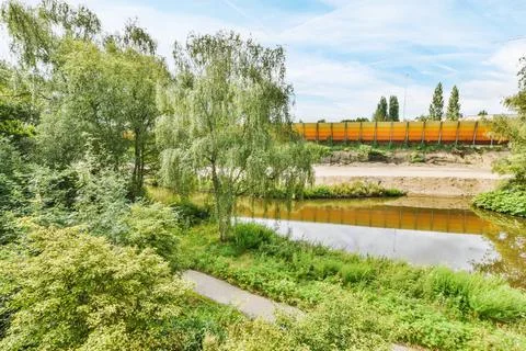 Environment with greenery Stock Photos