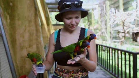 Environment human and nature concept, Parrot bird on young girl hand, Smiling Stock Footage 104148757
