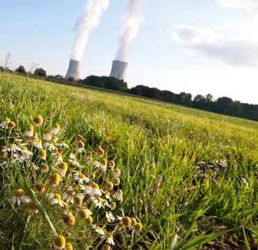 Environment Stock Photos