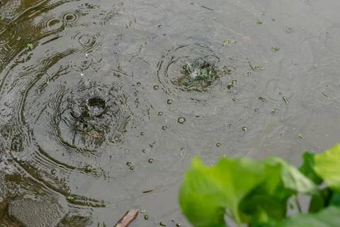 Environment Stock Photos