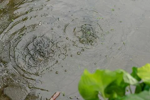 Environment Stock Photos