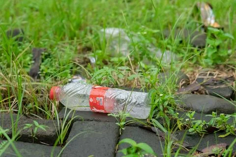 Environment Stock Photos