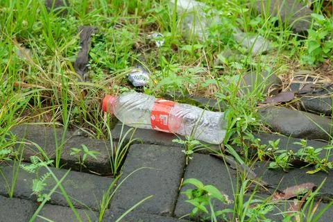 Environment Stock Photos