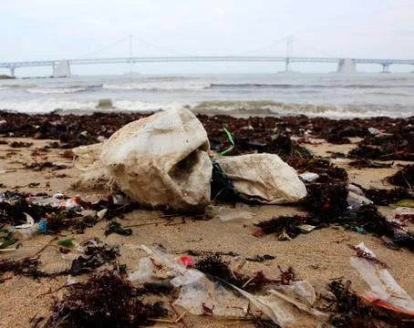 Environment pollution appear at gwangalli beach after typoon, Busan Stock Photos