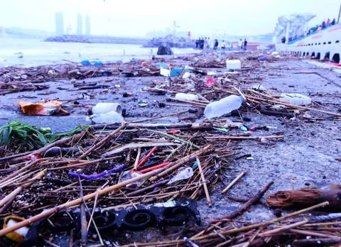 Environment pollution appear at gwangalli beach after typoon, Busan Stock Photos