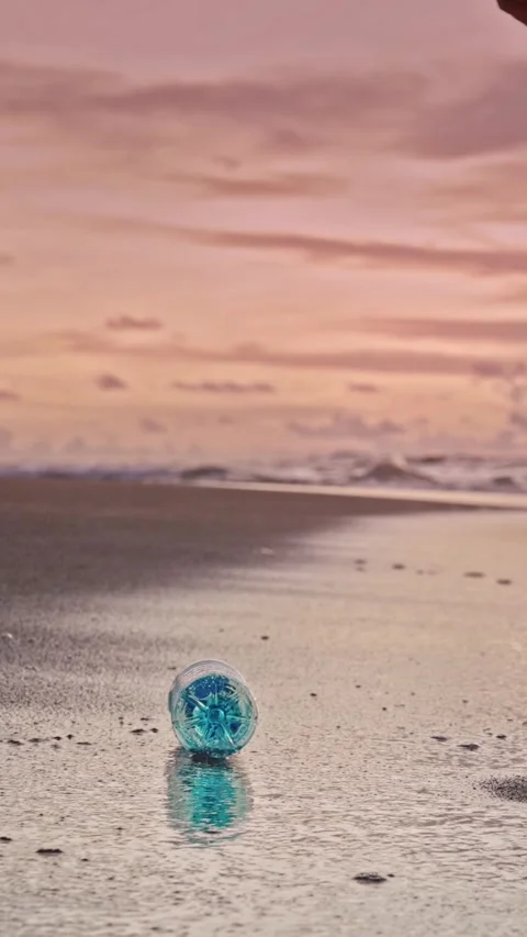 Environment Pollution of Beach Nature and Water by Woman Throwing Plastic Bottle Stock Footage 310422546