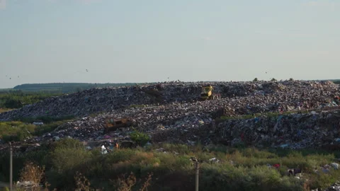 Environment pollution. Garbage pile in trash dump or landfill. 4k video. Stock Footage 281410065