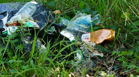 Environment pollution, illegal dumping - pan left 動画素材 62414500