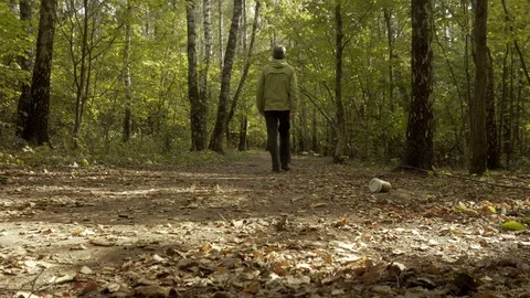 Environment pollution. Man throwing rubbish in the woods, close-up, trash. Stock Footage 95934118