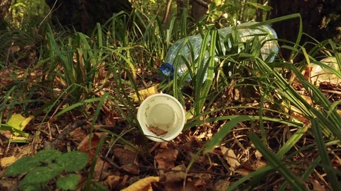 Environment pollution by plastic and garbage. Garbage is dumped in a forest. Stock Footage 95934094