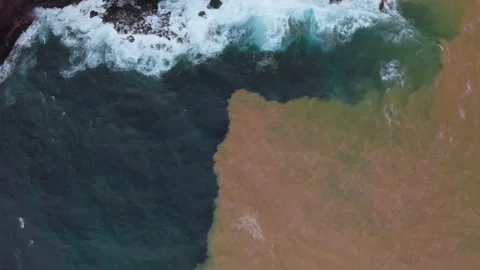 Environment pollution from sewer pipe wastewater flowing into sea water. Video stock 146806540