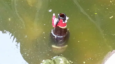 Environment Pollution water Stock Footage 37524264