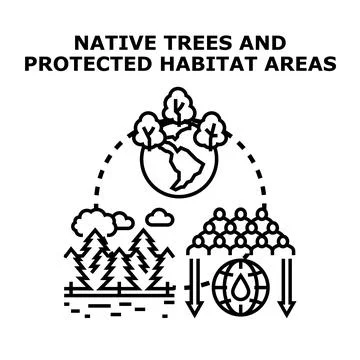 Environment protection and native trees habitat conservation Stock Illustration
