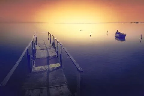 Environment - A Subtle Balance Stock Photos