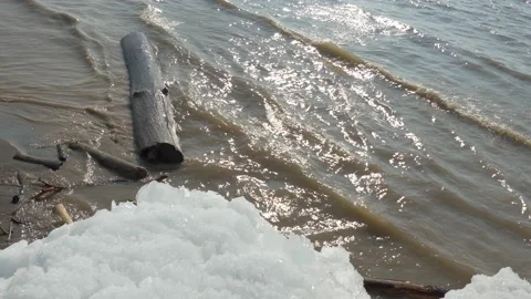 Environment. Surf waves rock a log on the coast of the Ob River Video stock 154303045