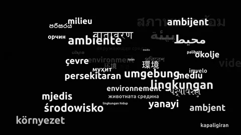 Environment Translated in 51 Worldwide Languages Endless Looping 3d Zooming W Stock Footage 145223834