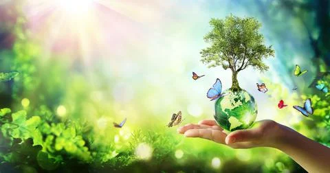 Environment - Tree Growth On Planet Stock Photos